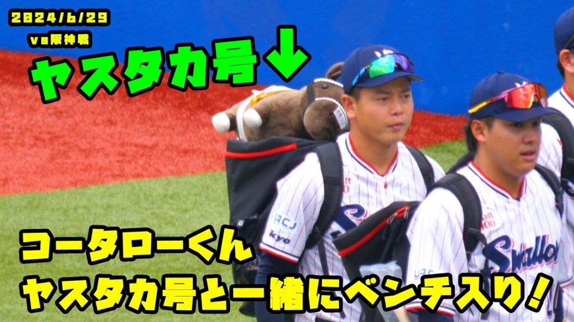 コータローくん　ヤスタカ号と一緒にベンチ入り！　2024/6/29 vs阪神