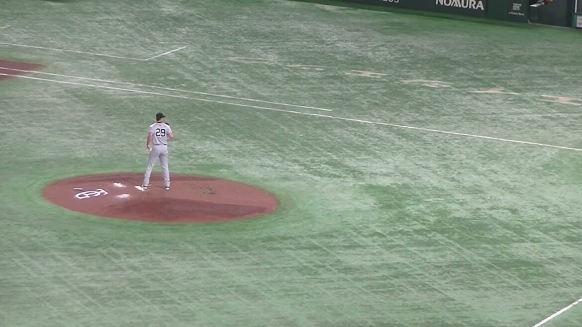 松本直樹をショートゴロ 門脇誠の守備（読売ジャイアンツ 対 ヤクルトスワローズ2024年6月22日）