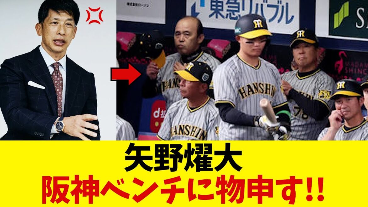 矢野燿大 阪神のベンチに物申す!!【野球情報】【2ch 5ch】【なんJ なんG反応】【野球スレ】 矢野燿大 阪神のベンチに物申す!!【野球情報】【2ch 5ch】【なんJ なんG反応】【野球スレ】