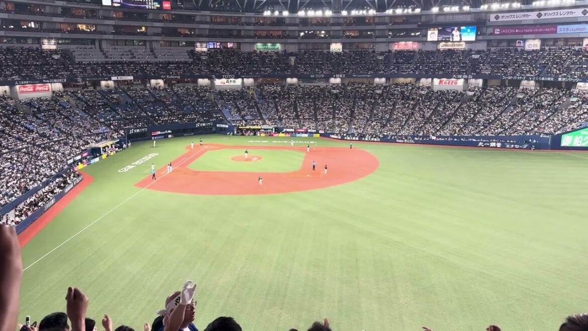 オリックス・バファローズ 西野真弘 応援歌 2024/6/16 バファローズ高校 大阪桐蔭