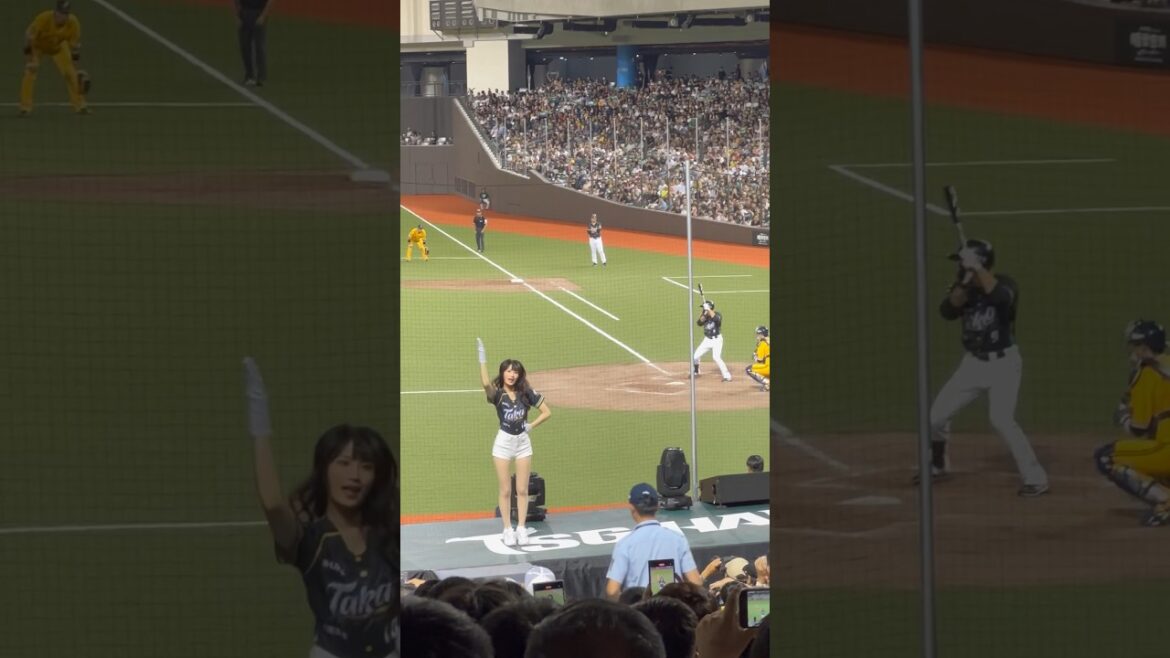 2024.06.22 台鋼雄鷹台北大巨蛋主場 王柏融/李樂應援