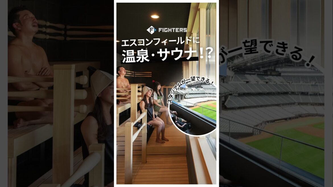 球場内のサウナで「ととのう」特別な体験✨  #ファイターズ #プロ野球 #エスコンフィールドhokkaido #サウナ