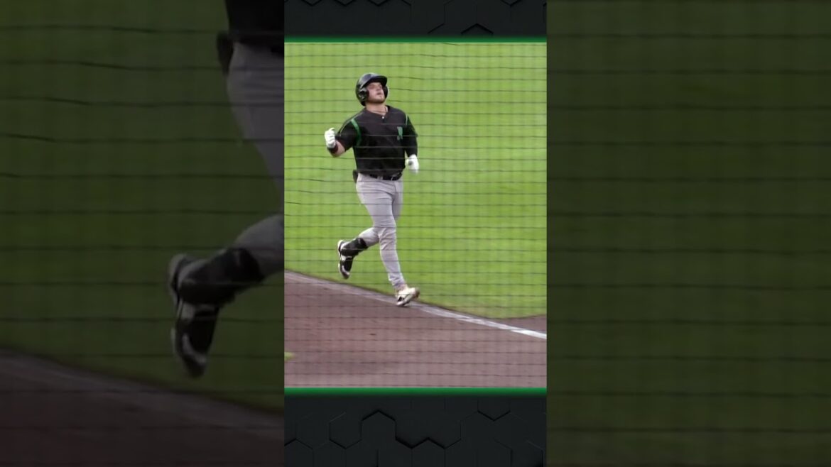 A Couple Of No-Doubters Here. 😤 💪 #highlights #milb #feelthefire