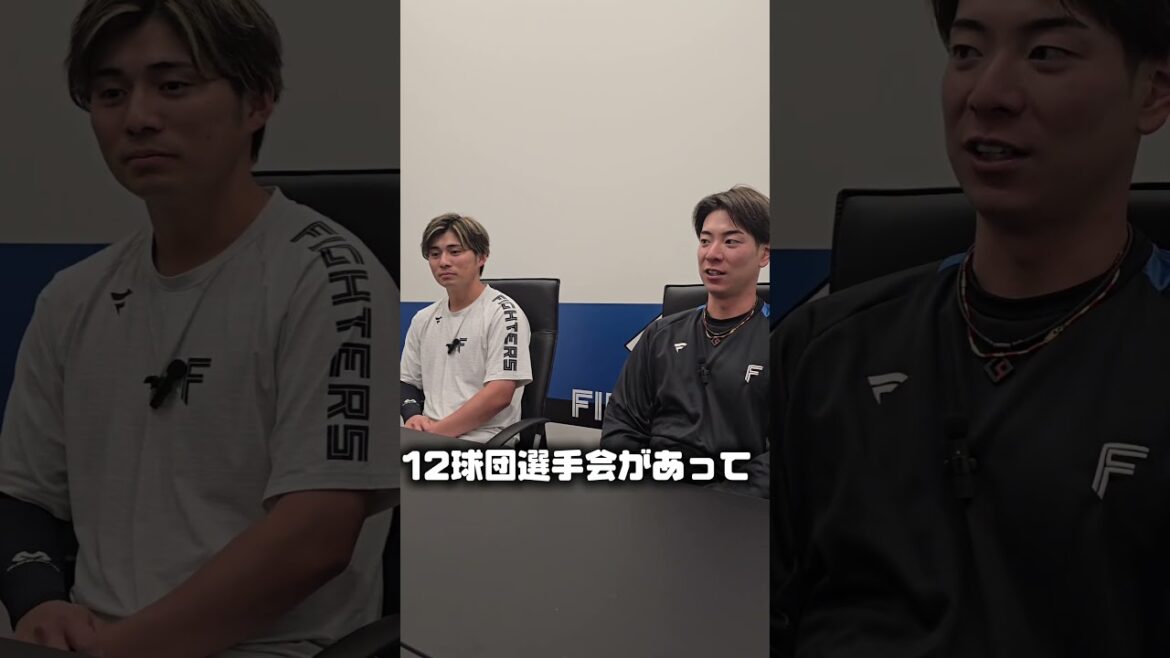 選手会って何するの？パート１【選手会の仕事とは？】