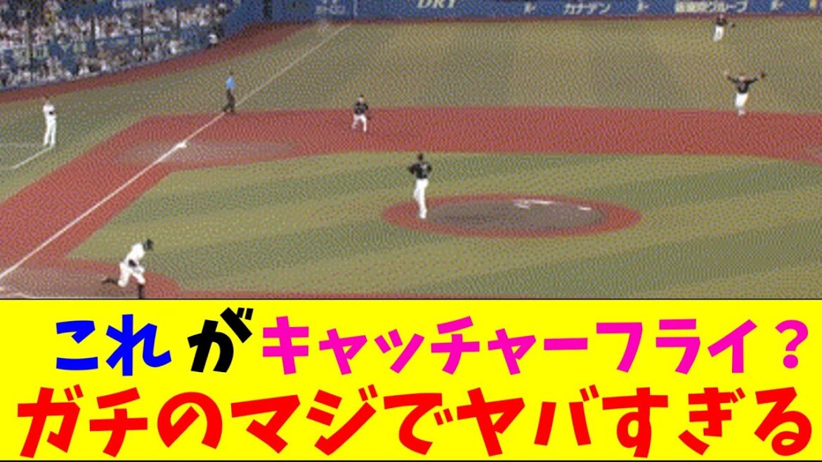 ロッテ・若月の落球、ZOZOマリンの風がガチのマジでヤバすぎるとなんｊとプロ野球ファンの間で話題にｗｗｗ【なんJ反応集】