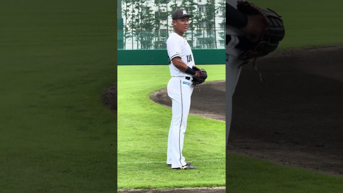 山本大斗&藤田和樹キャッチボール 2024/7/2 ロッテ浦和球場 #chibalotte