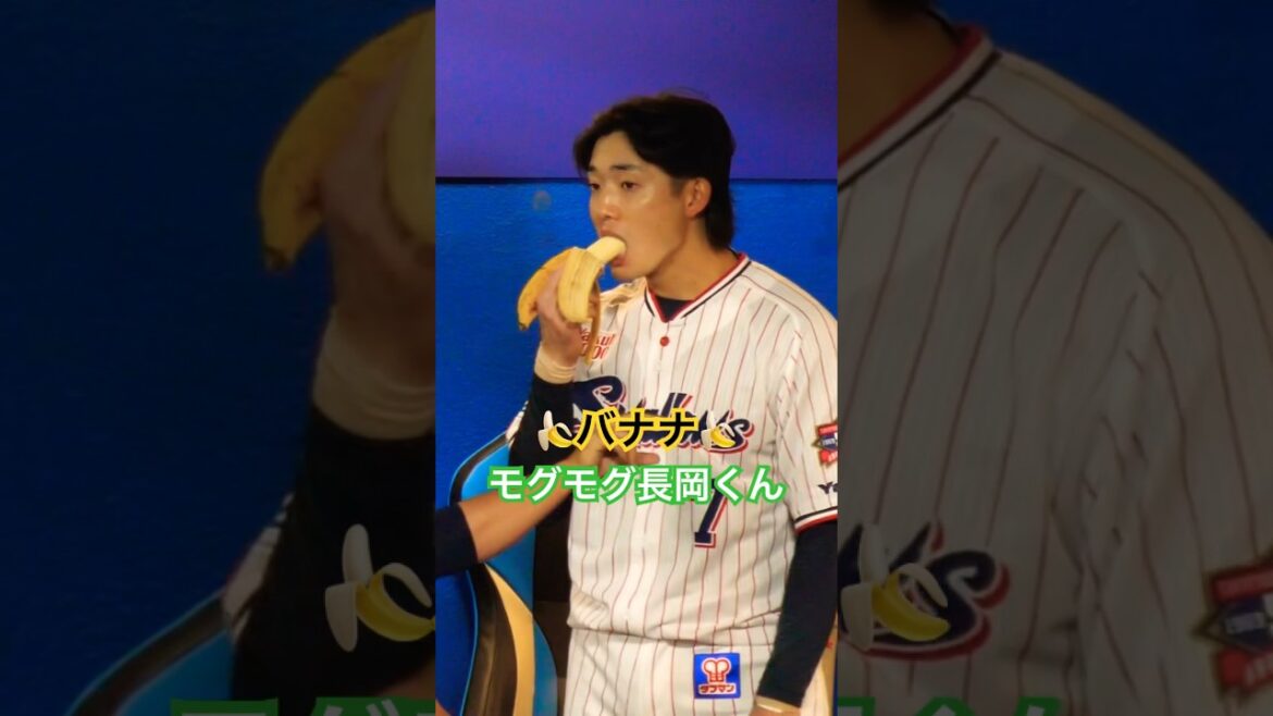 長岡くんのバナナのモグモグタイムをしてる時に、武岡くんがホームラン！！慌てて食べ切る長岡くんが撮れました　#swallows#長岡秀樹#武岡龍世