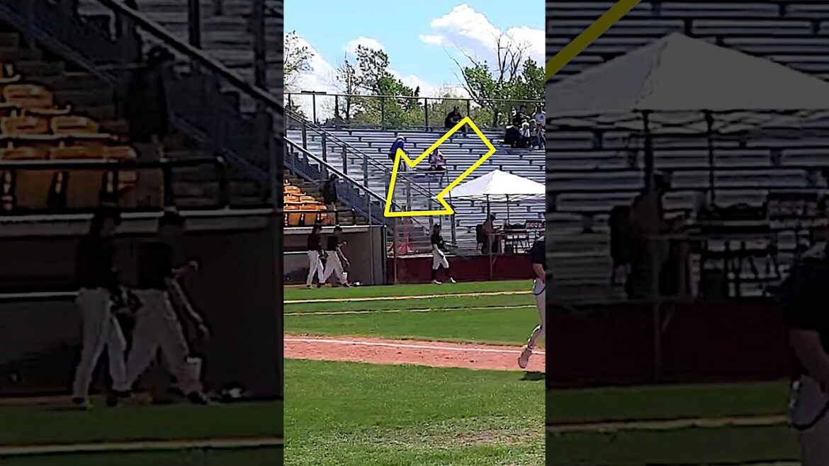 Bird butt bombs ballplayer #baseball #poopedon #alberta