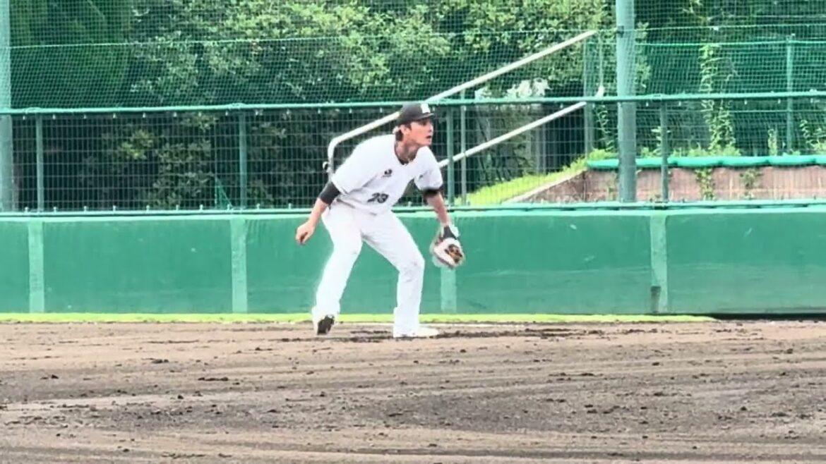 石川慎吾 内野ノックで思わず仰け反る 2024/7/2 ロッテ浦和球場 #chibalotte