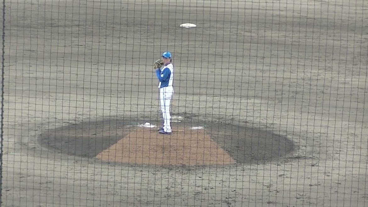 【野球選手フォーム集】齊藤伸治の投球フォーム（2024年6月25日 北海道日本ハムファイターズ対 読売ジャイアンツ）