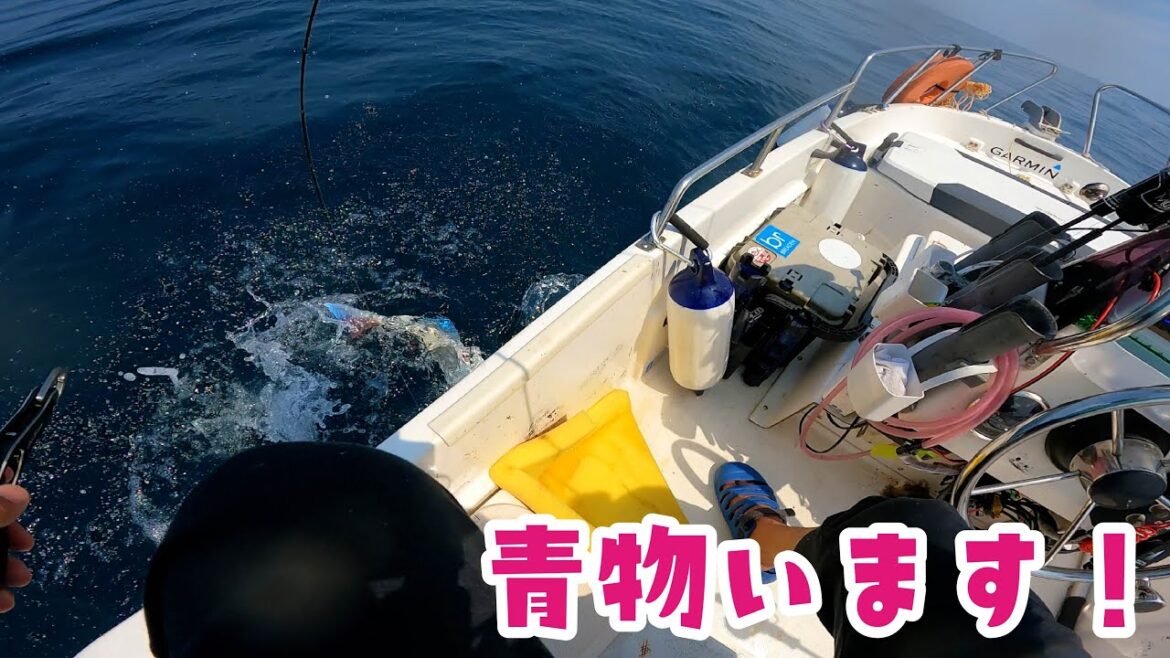 SLJに鯛ラバ！最近70オーバーばかりだったので感覚がおかしくなってしまいました…【NEO374でタイラバ/ライトジギング】