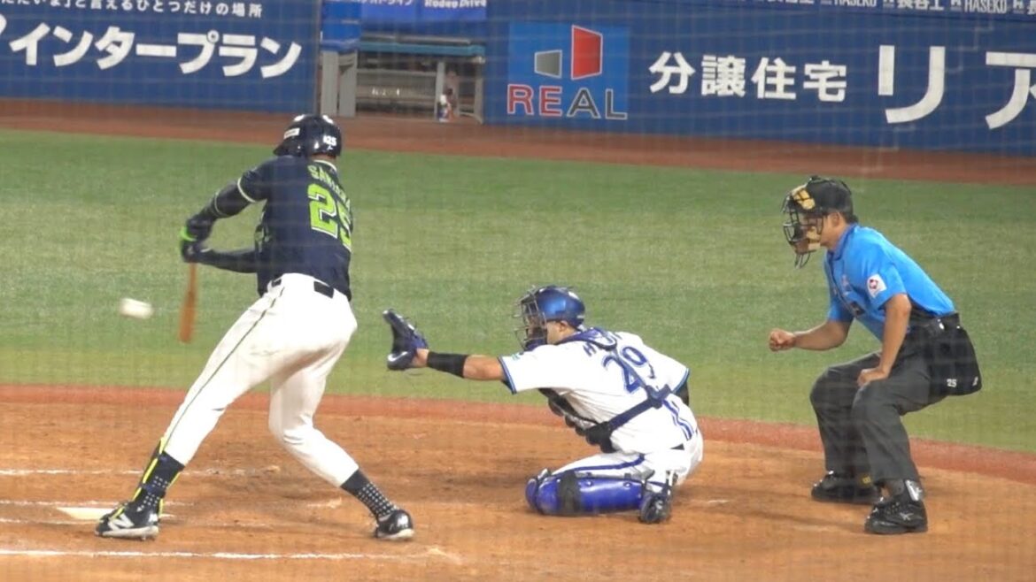 サンタナのタイムリー2ベースヒットで勝ち越し！東京ヤクルトスワローズ 2024/07/03 ハイライト
