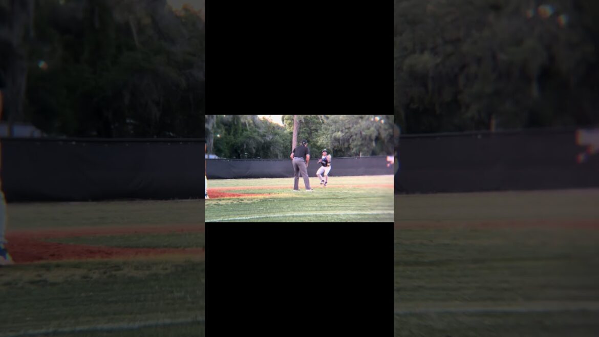 2024 Spring Season Fielding Highlights