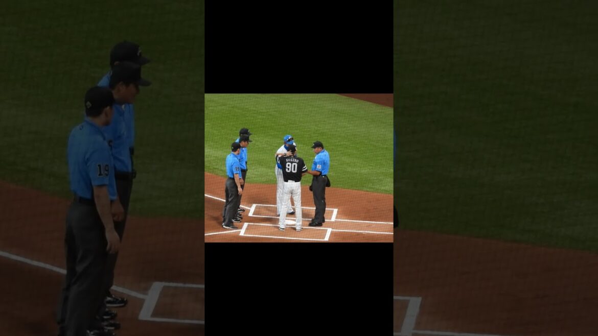 【20240630】＃メンバー表交換＃新庄監督＃小久保監督＃ぐータッチ #エスコンフィールド #プロ野球 #北海道日本ファイターズ