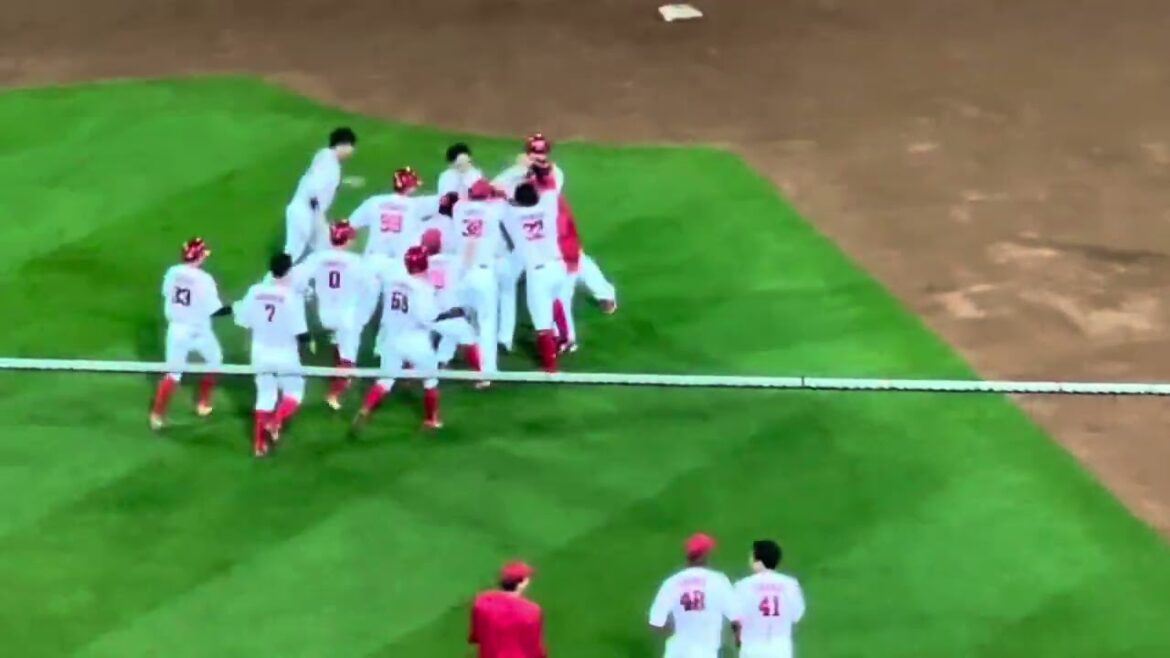 石原の粘りから坂倉将吾最後に決めたサヨナラ打！復調上り調子で3連勝首位固め！！【2024.6.27 対ヤクルト9回戦】#広島カープ#2024公式戦#ヤクルト#マツダスタジアム#坂倉将吾#サヨナラ打