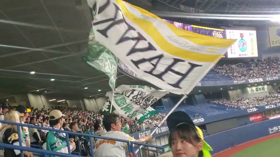 20240331　開幕3戦目！大迫力の福岡ｿﾌﾄﾊﾞﾝｸﾎｰｸｽ　攻撃前の3連　2回表@京ｾﾗﾄﾞｰﾑ大阪･ﾚﾌﾄ外野下段