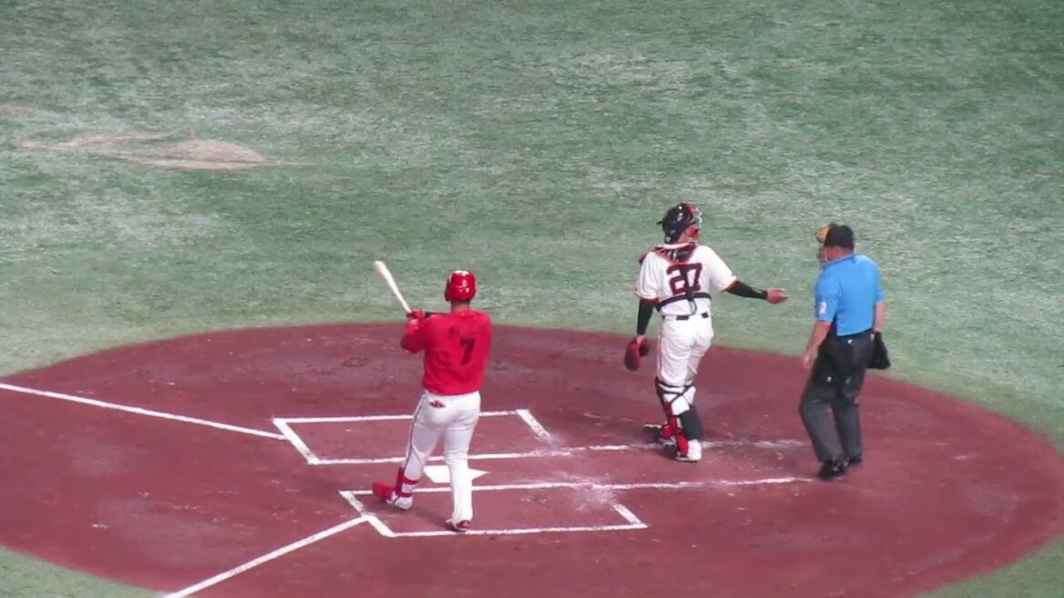 【広島カープ】堂林翔太の打撃フォーム  2024年6月28日 読売ジャイアンツ 対 広島東洋カープ