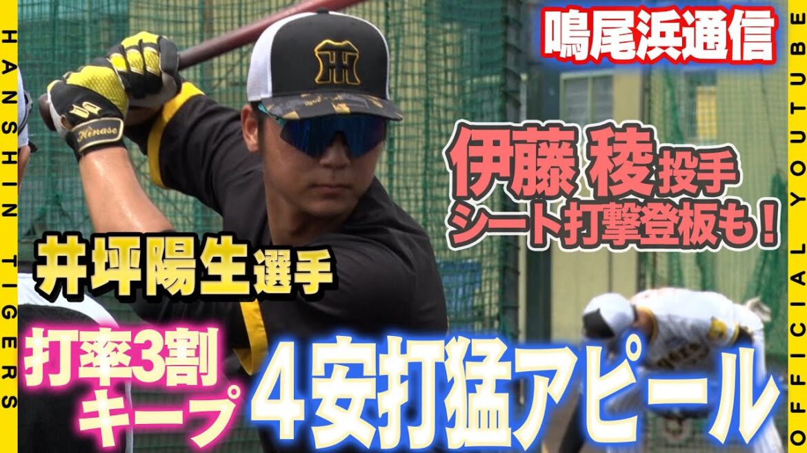 【鳴尾浜通信】#井坪陽生 選手4安打の猛アピール！！打率3割をキープし#和田豊 監督も「いい姿を見せてくれている」と評価！試合後には#伊藤稜 選手がシート打撃に登板しました！