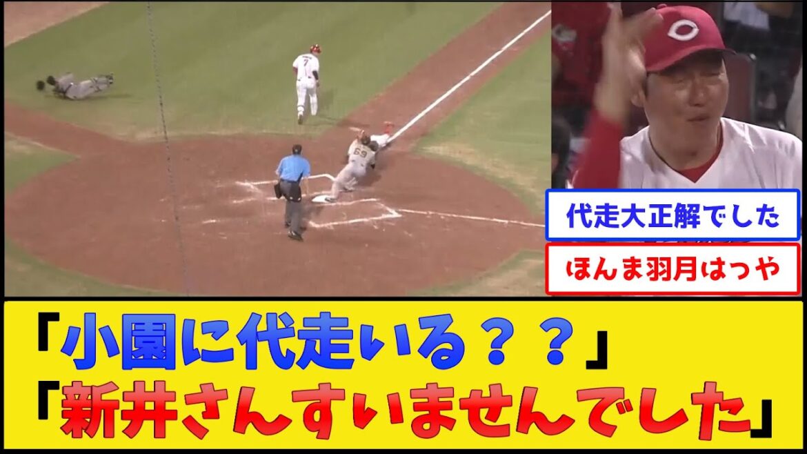【ベンチのおっちゃん大喜び】新井カープ、神の一手すぎる采配を披露してしまう【広島東洋カープ】【プロ野球なんJ 2ch プロ野球反応集】