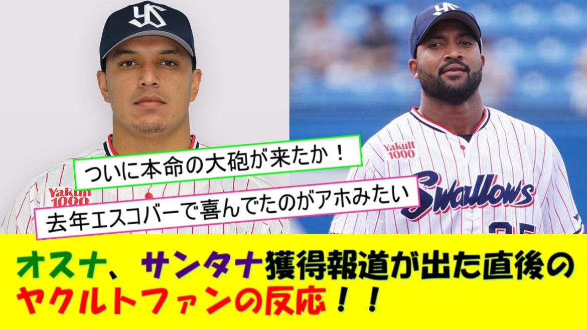 【近年最も盛り上がったオフ】ヤクルトがオスナ、サンタナを獲得した直後のファンの反応！！！
