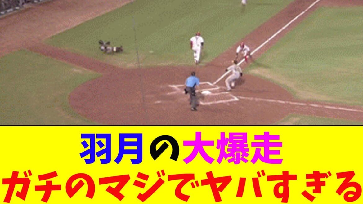 広島・羽月の大爆走がガチのマジでヤバすぎるとなんj民とプロ野球ファンの間で話題に【なんJ反応集】