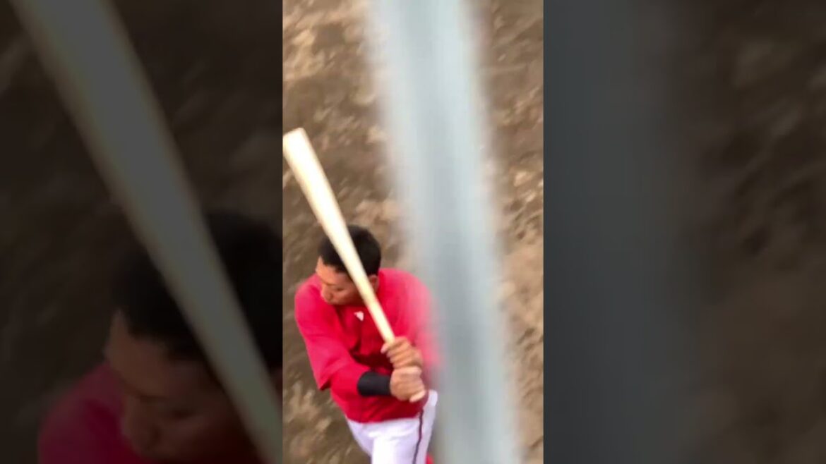 目の前を通り過ぎる羽月選手　#広島カープ