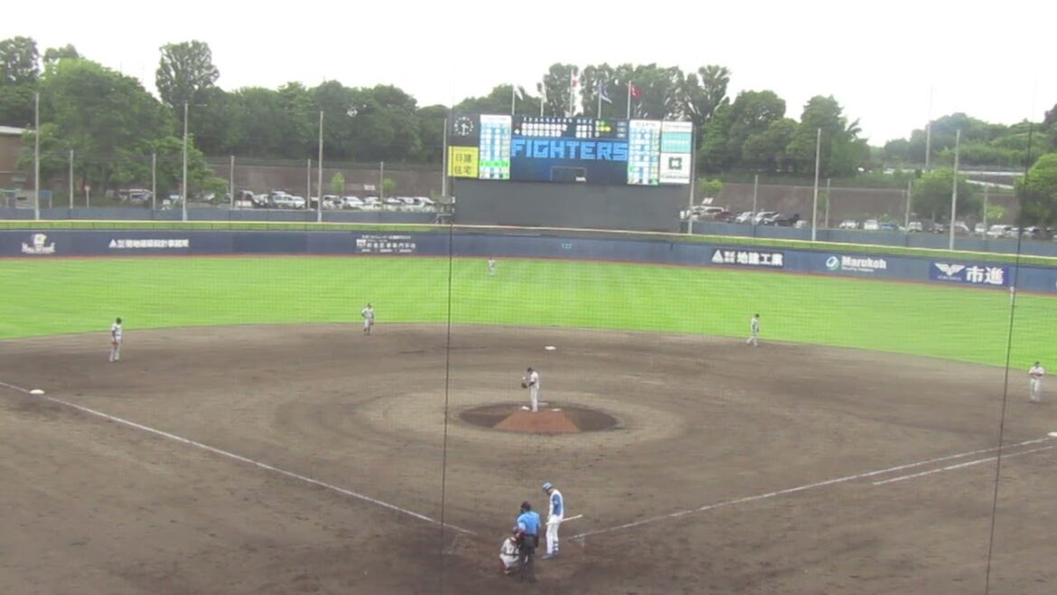 ジャイアンツ戸田懐生 石井一成を見逃し三振＜日本ハムファイターズ対 読売ジャイアンツ2024年6月25日＞