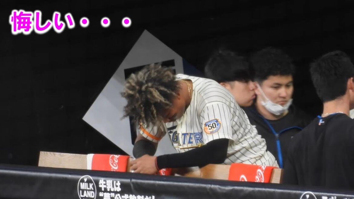 【20240704】田宮の打席&逆転を信じ9回裏の打者とベンチの様子など(逆転負けが2日続く。田宮は代打でも結果を出す。次の試合から期待♪) 【20240704】田宮の打席&逆転を信じ9回裏の打者とベンチの様子など(逆転負けが2日続く。田宮は代打でも結果を出す。次の試合から期待♪)