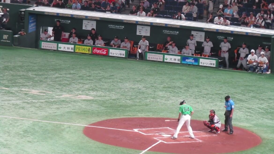 チャンスでサイスニードの場面と巨人ベンチの反応（2024年6月22日 読売ジャイアンツ対ヤクルトスワローズ）