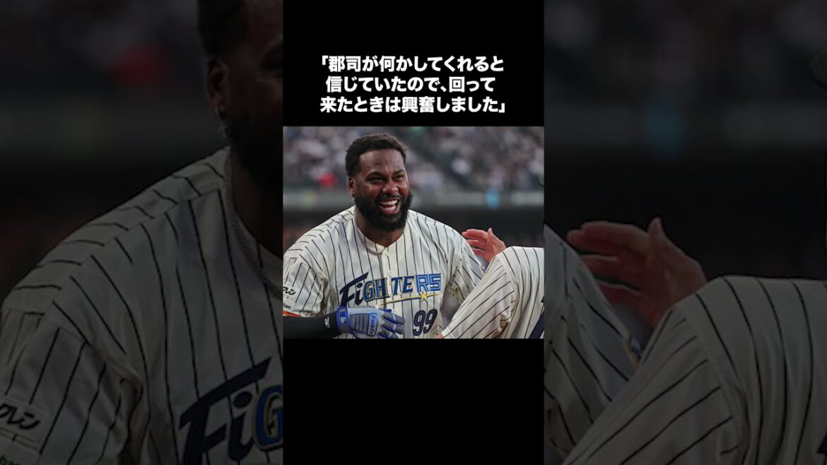 【劇的満塁ホームラン!!】日ハム、レイエス「回って来たときは興奮、打席では冷静になれた」【日本ハム反応集】【ネットの反応】#日本ハムファイターズ #レイエス #グランドスラム #short