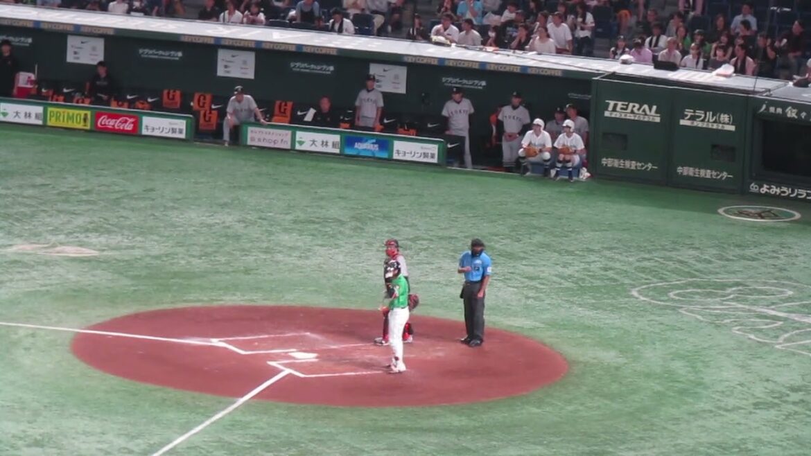 松本直樹のバントでピンチになった時のベンチの巨人首脳陣の様子（2024年6月22日 読売ジャイアンツ対ヤクルトスワローズ）