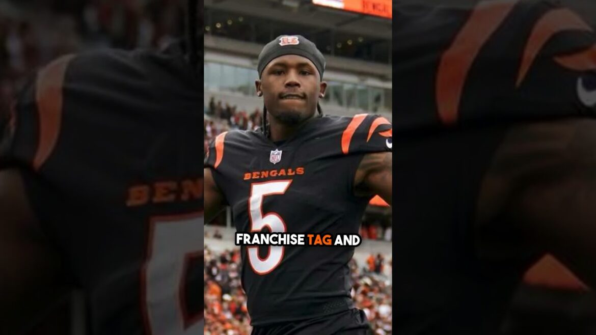 Cincinnati Bengals offseason has gone to a…..Tee #cincinnatibengals #bengals #nfl