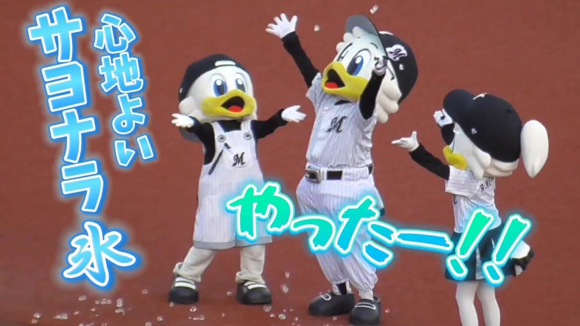2024/6/1 マーくん達、サヨナラ祝福の残った氷で遊ぶ