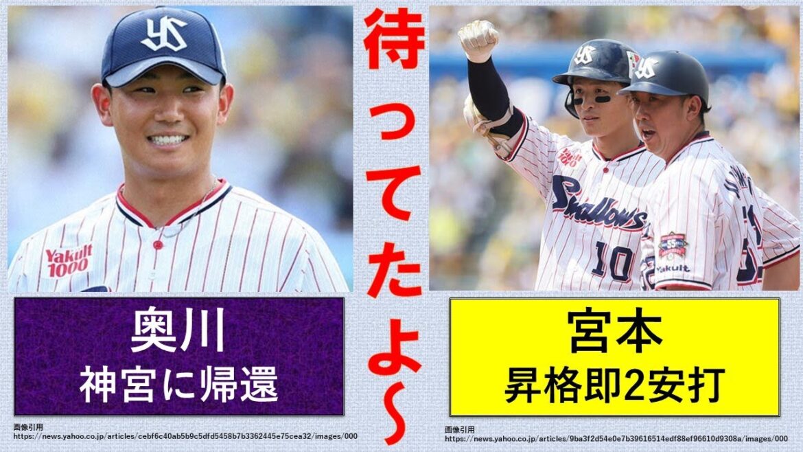 【待ってたよー！】奥川2連勝で神宮のお立ち台に帰還！宮本昇格即2安打2得点！【村上交流戦明け初HR】2024-GAME71