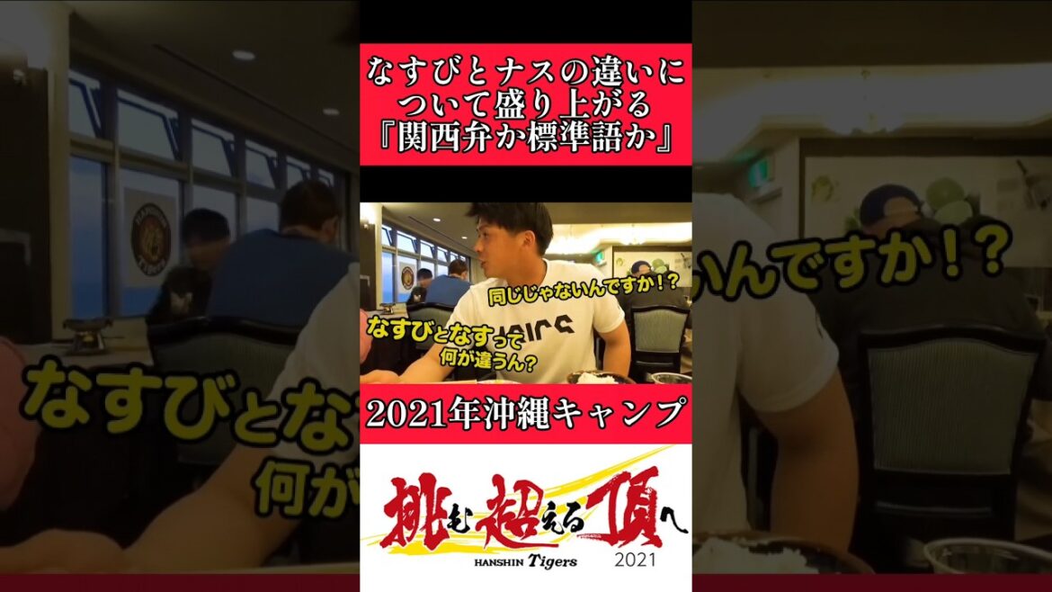 【阪神】なすびとナスの違いについて盛り上がる！ #阪神 #阪神タイガース #小野寺暖 #小幡竜平 #shorts