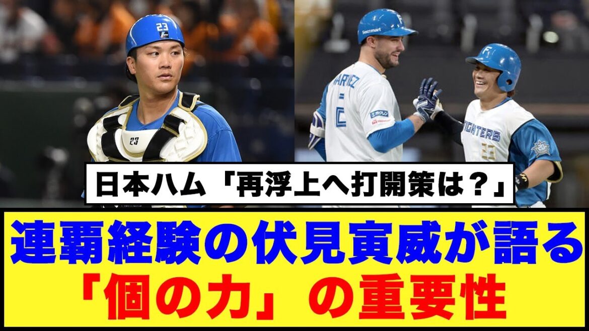 【日本ハム】「再浮上へ打開策は？」連覇経験の伏見寅威が語る「個の力」の重要性【日本ハム反応集】【ネットの反応】#日本ハムファイターズ #新庄監督 #伏見寅威
