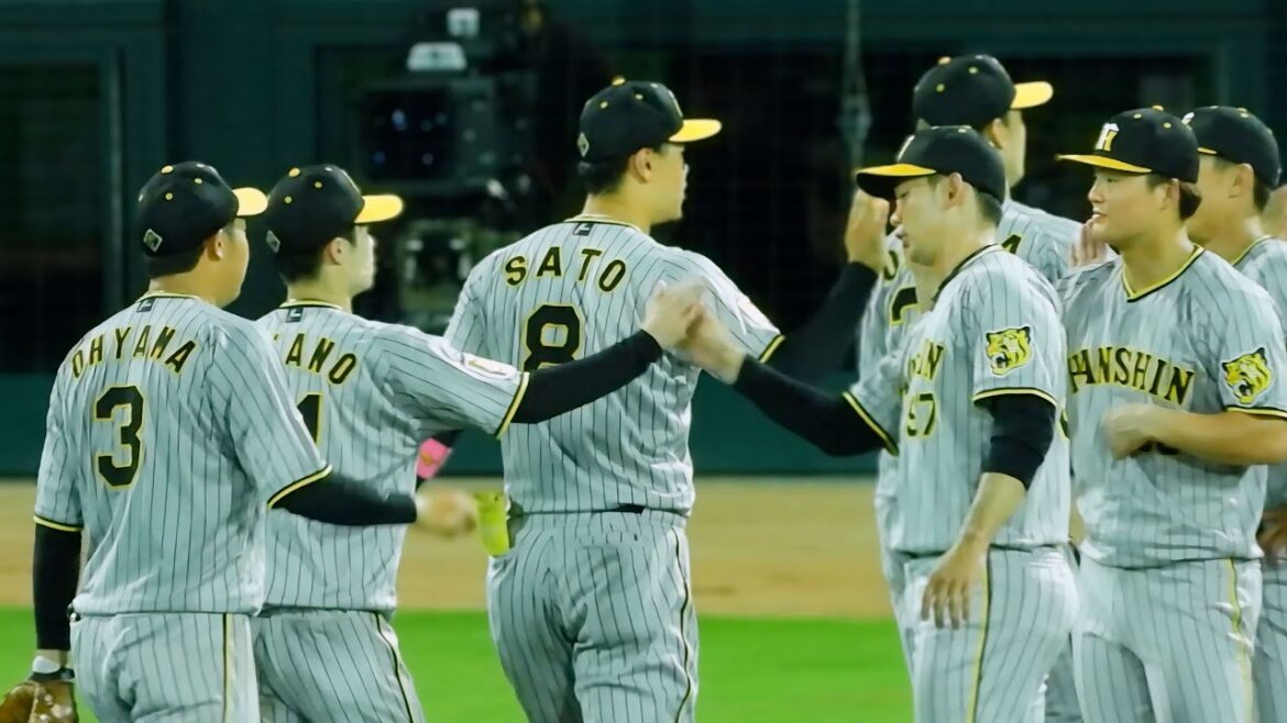 【勝利のハイタッチ】最後は岩崎が締めた！1点差逃げ切り阪神が連勝！ 2024.7.3