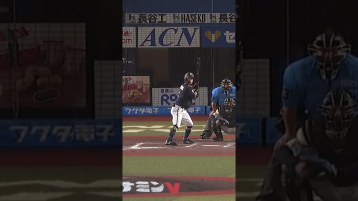 お願いします 福田😂😂 #オリックス #オリックスバファローズ #bs2024#福田周平 #スリーコール#千葉ロッテマリーンズ #パリーグ