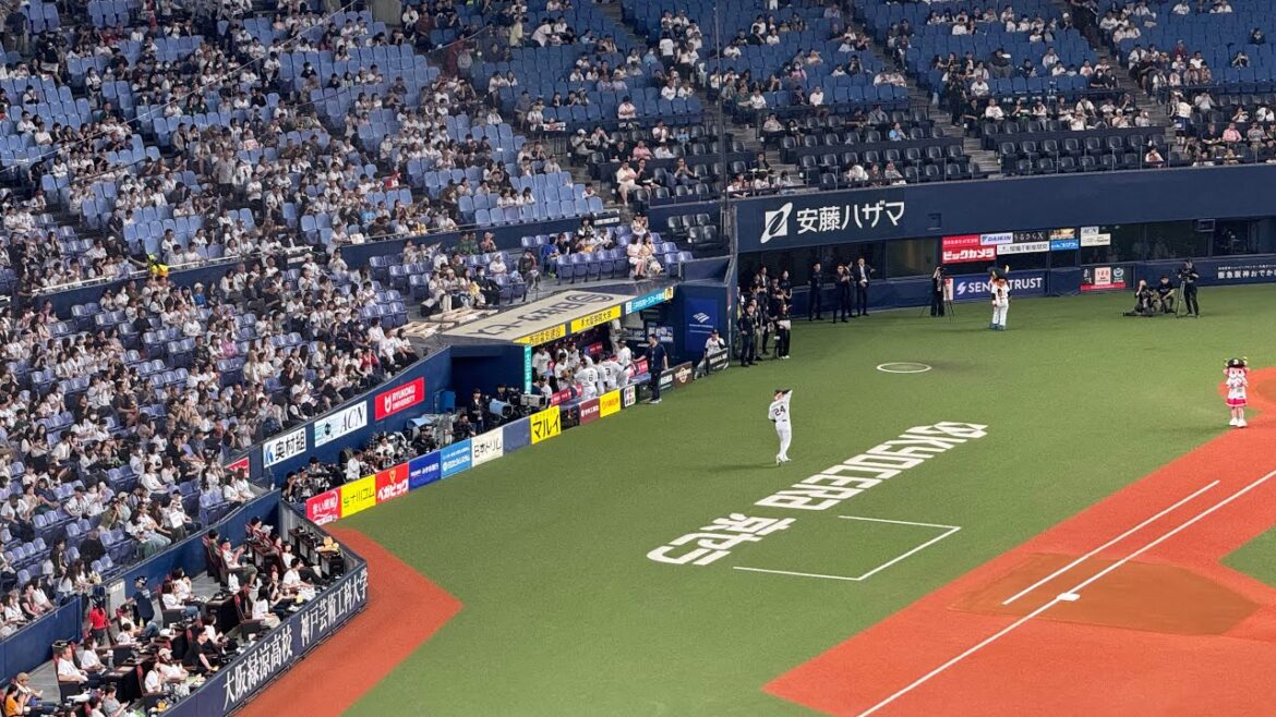 オリックス・バファローズ 西野真弘 吉田正尚 境地 応援歌 2024/6/16 バファローズ高校 大阪桐蔭