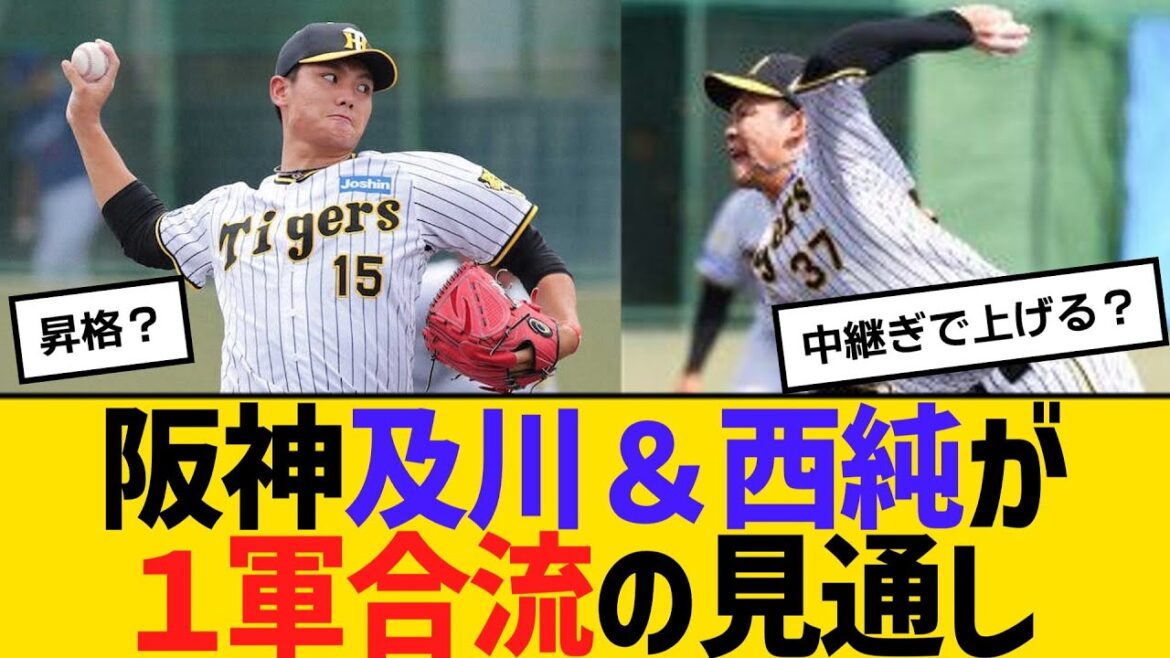 阪神・及川＆西純が１軍合流の見通し　【ネットの反応】【反応集】