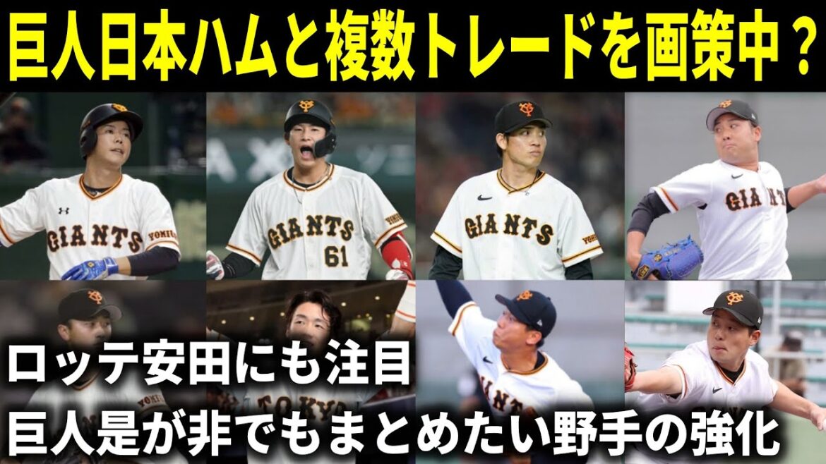 【巨人】日本ハムと複数トレードを画策中？狙うは「野村佑希、今川優馬」か！対抗には「西武投手陣とロッテ安田尚憲」に注目【トレード予想】