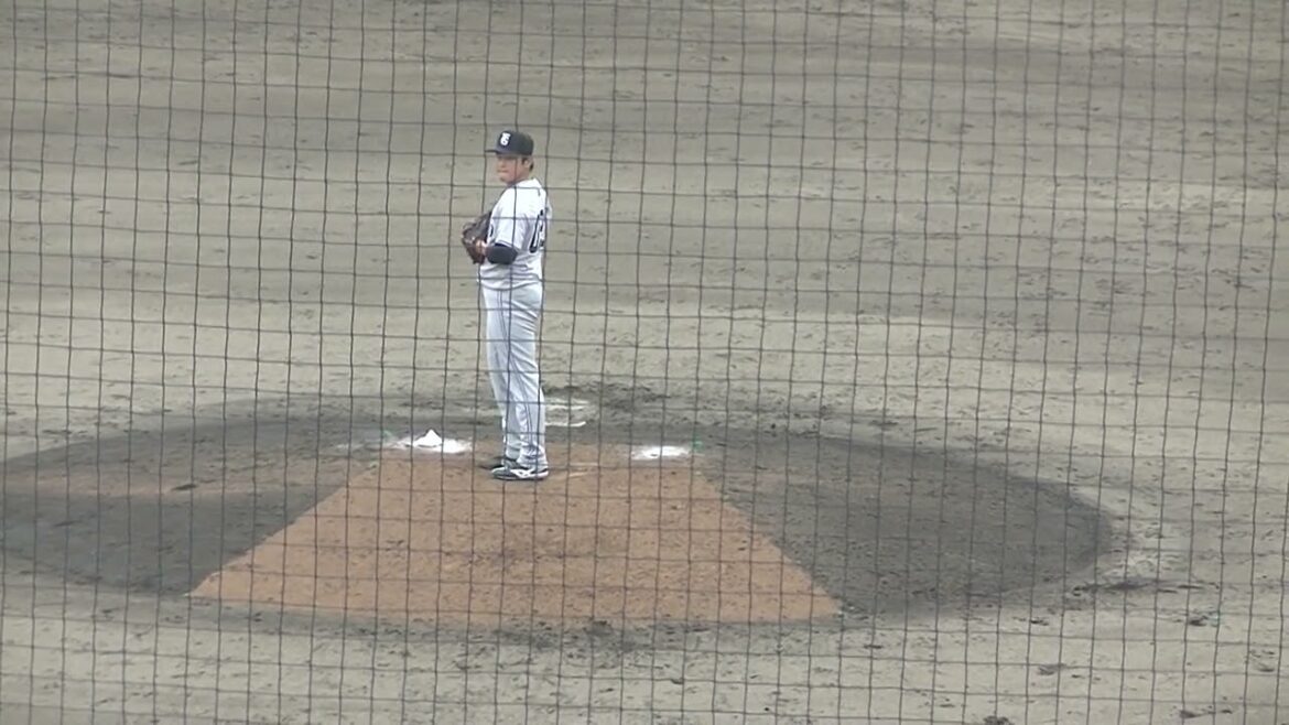 【野球選手フォーム集】戸田懐生の投球フォーム（2024年6月25日 北海道日本ハムファイターズ対 読売ジャイアンツ）