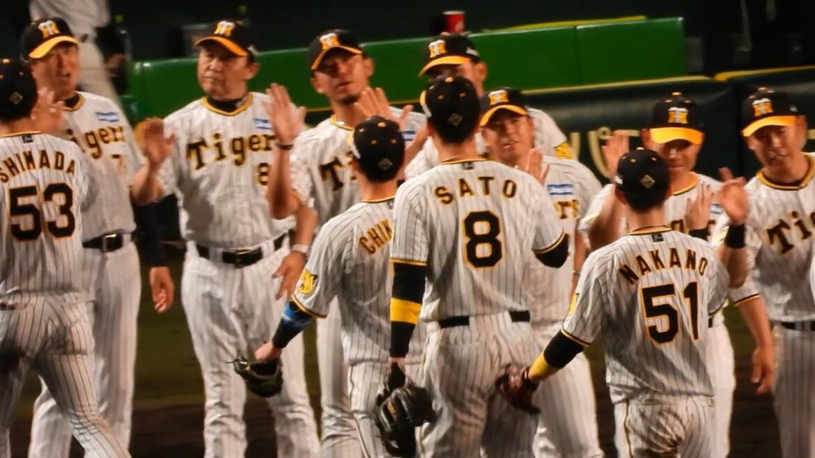【勝利のハイタッチ】最後は岩崎が締めた！阪神タイガース、先制点献上からの逆転勝利！ 2024.7.6