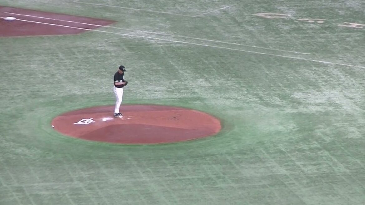 丸佳浩を三振にとる西野勇士（2024年6月6日 読売ジャイアンツ対 千葉ロッテマリーンズ）