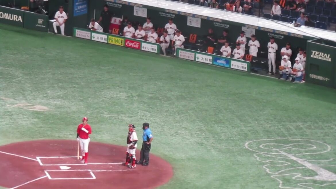 小園海斗 三振で喜ぶジャイアンツベンチ（読売ジャイアンツ対 広島カープ 2024年6月29日）