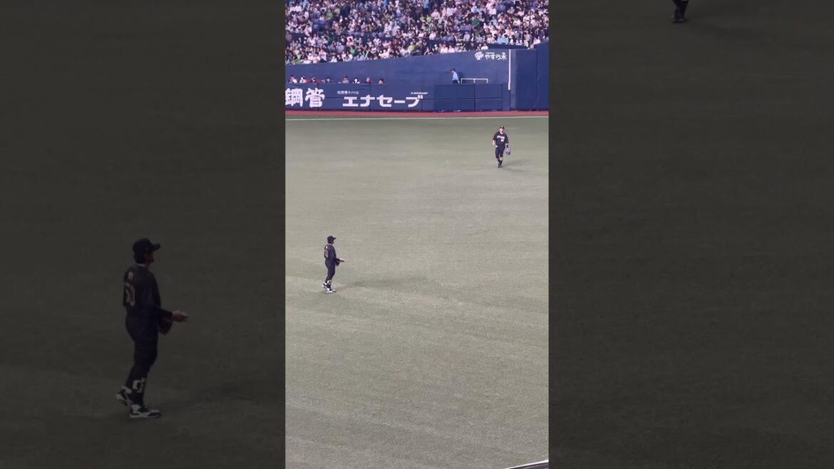 【オリックス】小田裕也選手 杉本裕太郎選手 キャッチボール オリックスバファローズ