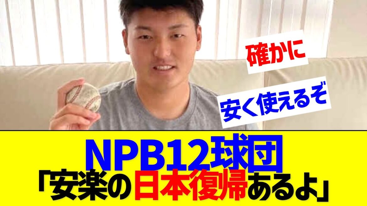 NPB12球団「安楽の日本復帰はあるんじゃないかな？」【なんJ なんG反応】
