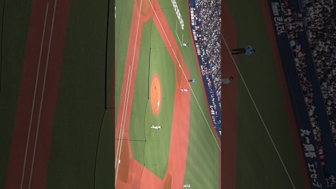 【佐藤一磨投手】オリックスバファローズ 中継ぎ登場 2024/6/16 大阪代表バファローズ高校