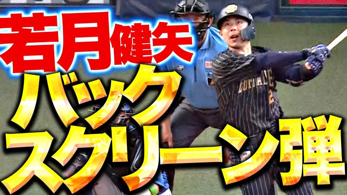 Pacific-League: 【超貴重な追加点】若月健矢『豪快バックスクリーン弾………バックスクリーン弾!?!?!?』【ベンチはお祭り騒ぎ】 【超貴重な追加点】若月健矢『豪快バックスクリーン弾………バックスクリーン弾!?!?!?』【ベンチはお祭り騒ぎ】