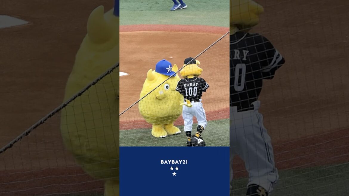 なかよし😊チャピーとハリーホーク #チャピー  #baystars #横浜DeNAベイスターズ
